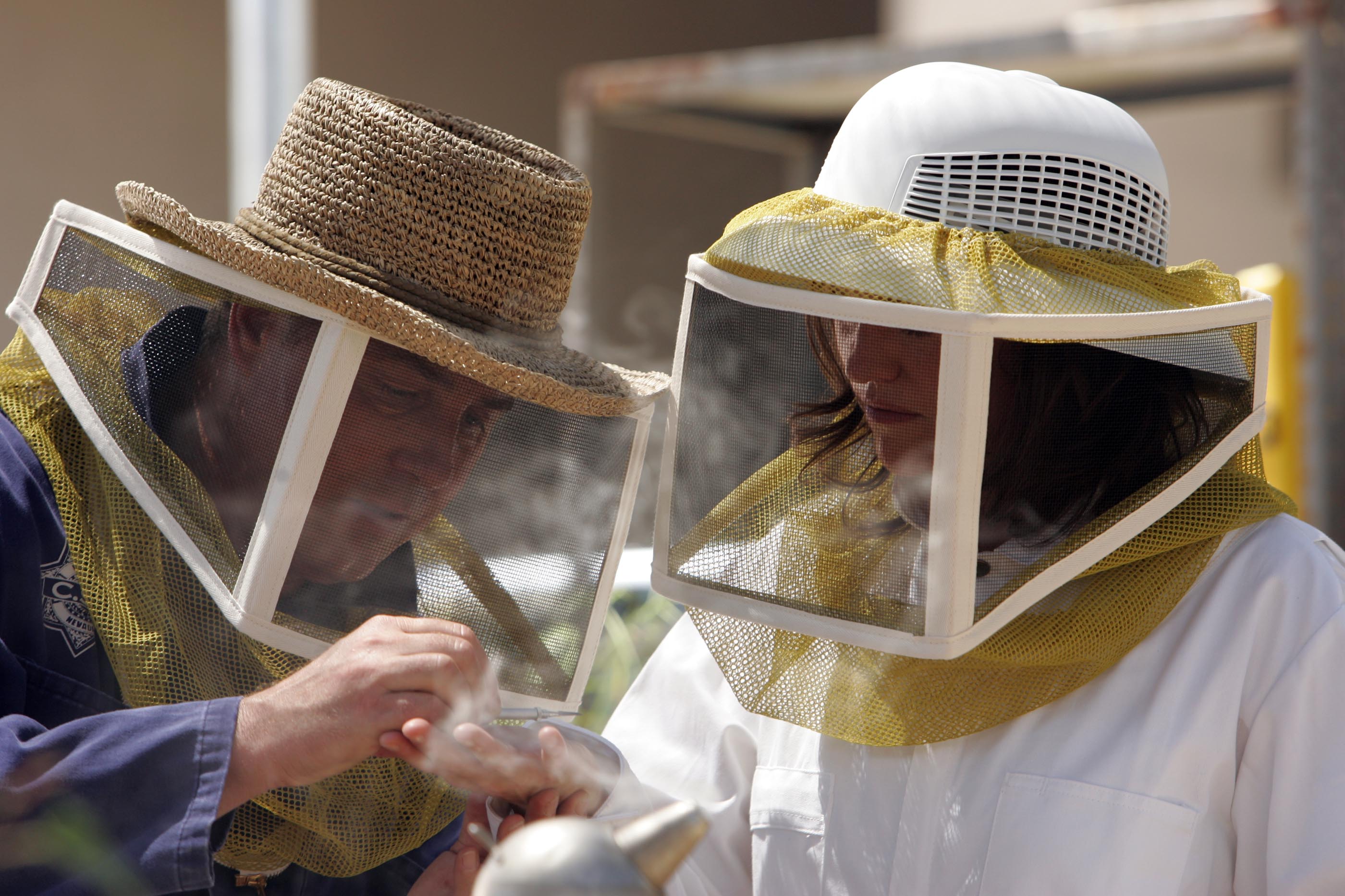 The Case of the Cross-Dressing Carp