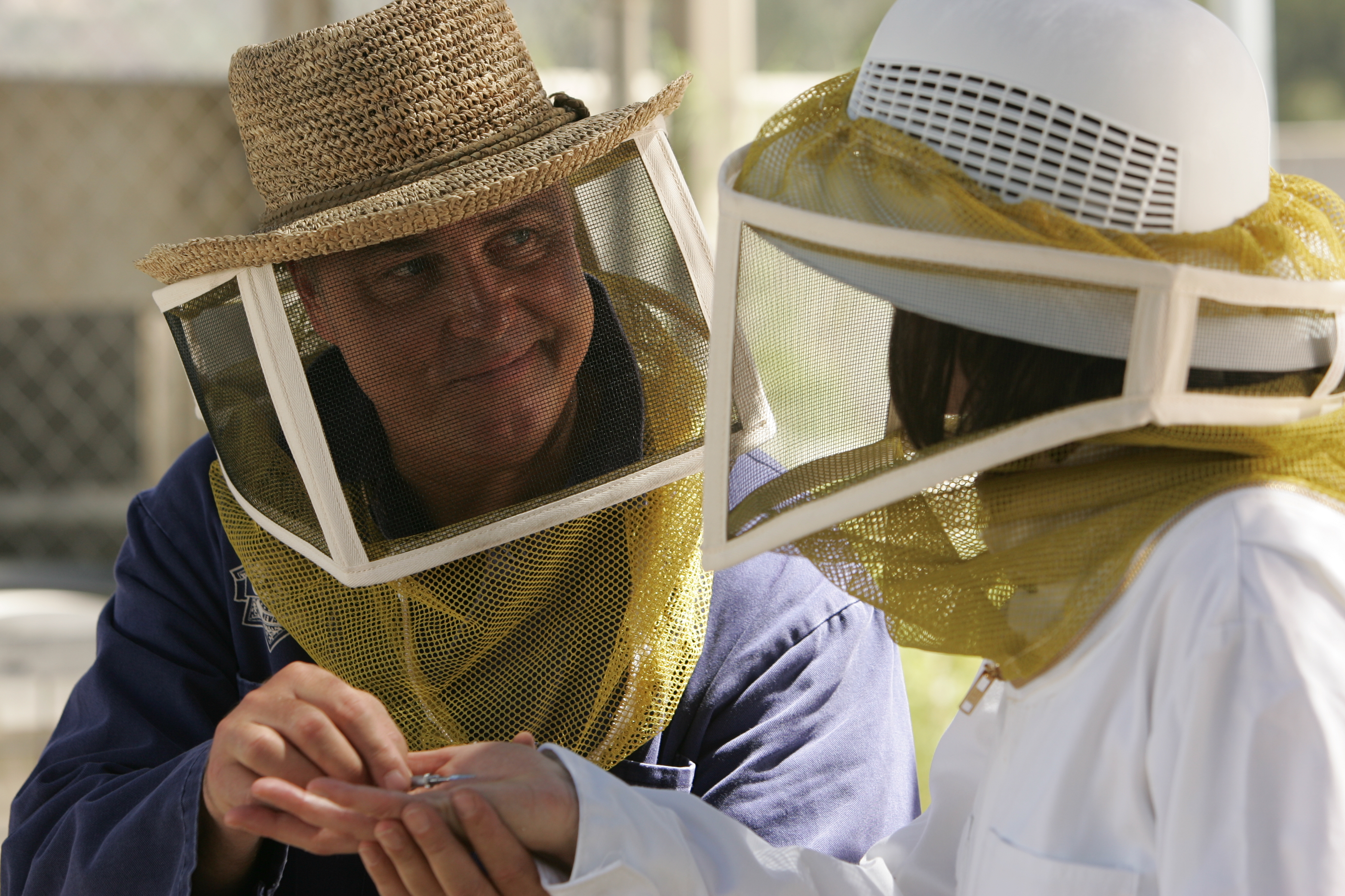 The Case of the Cross-Dressing Carp