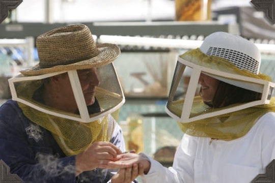 The Case of the Cross-Dressing Carp