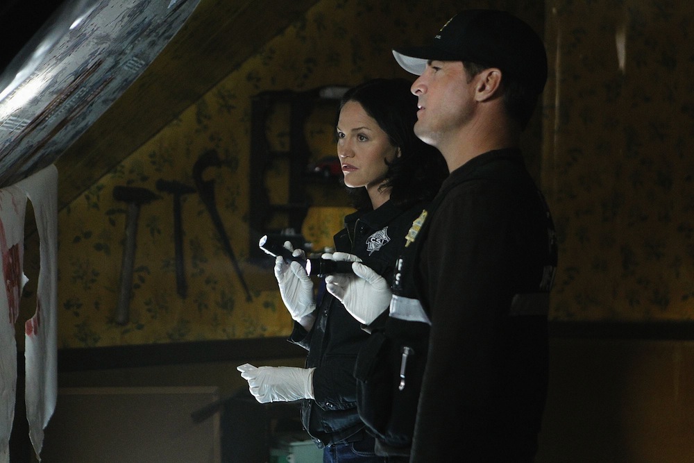 In A Dark, Dark House