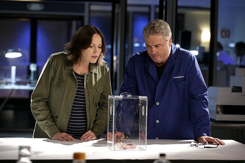 Immortality (Part 2)